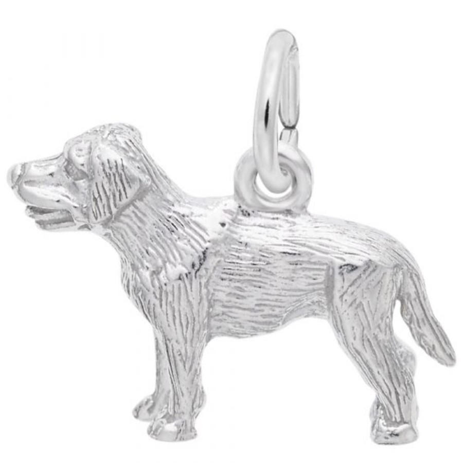 Jewelry Rembrandt | Sterling Silver Labrador Charm